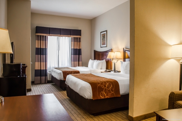 Hotel Comfort Suites Saraland